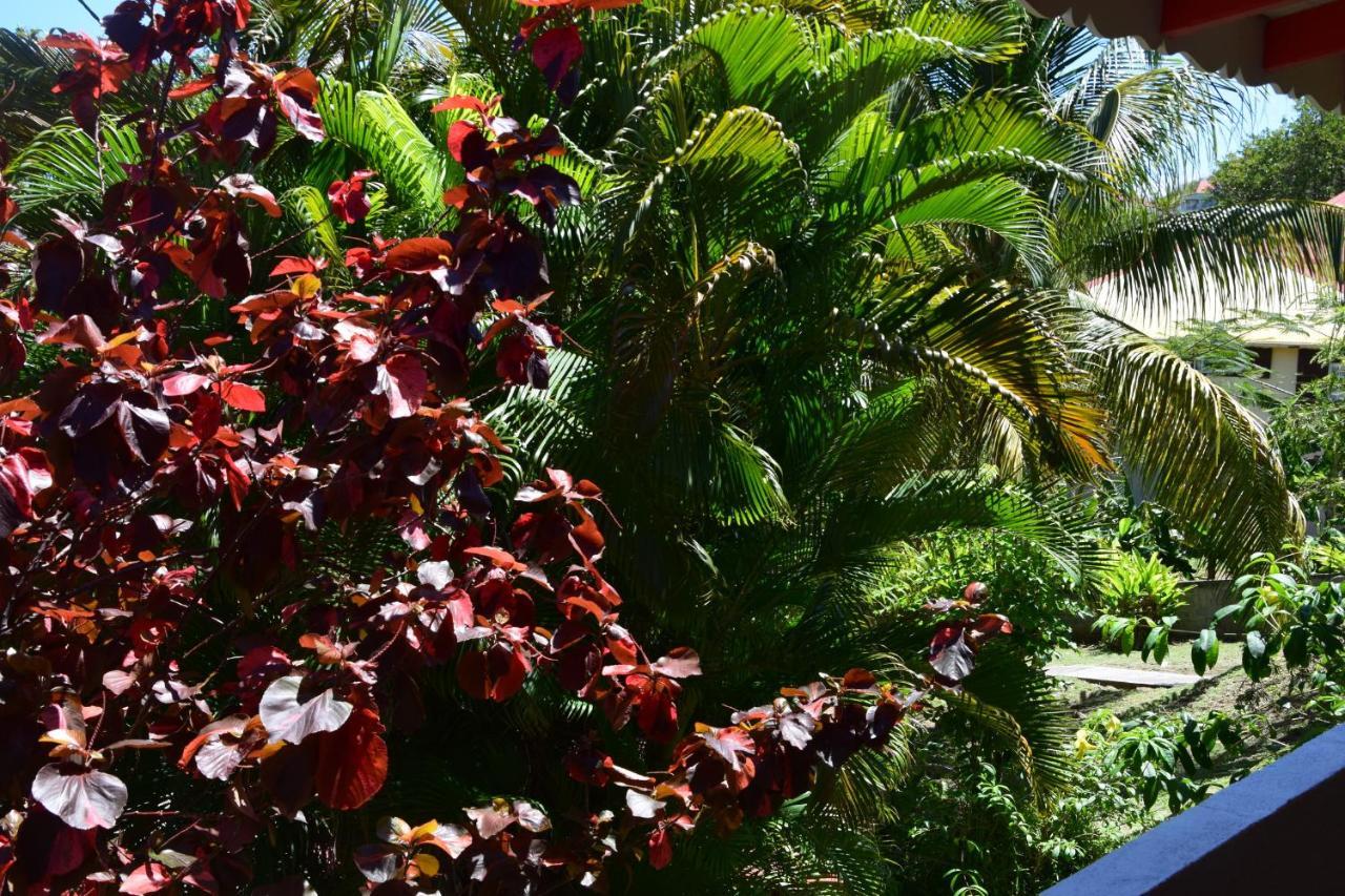 Jardin Sur Mer Terre-De-Haut Zewnętrze zdjęcie